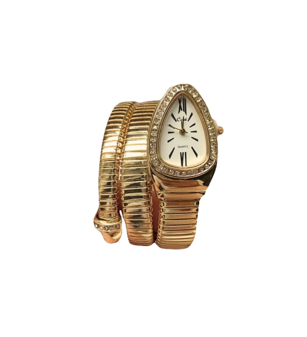 Roma Watch